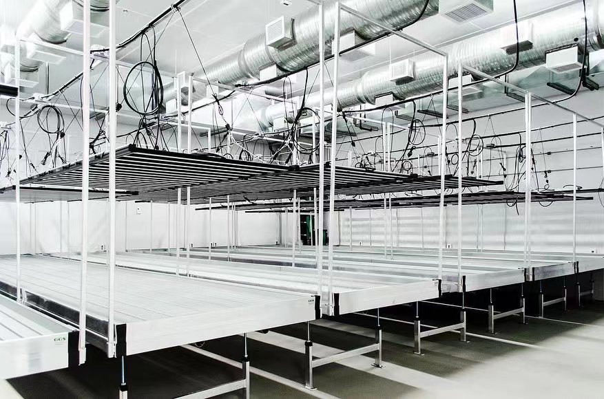 Proyecto HortiBloom - Instalación LED de cultivo